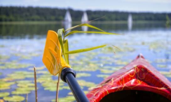 Odkryj uroki kaszubskich jezior podczas pobytu w agroturystyce