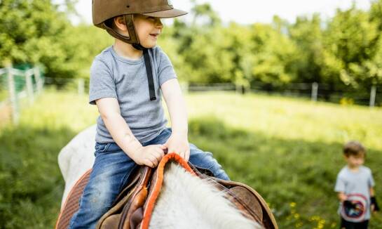 Kask jeździecki a homologacja – dlaczego certyfikaty są ważne?