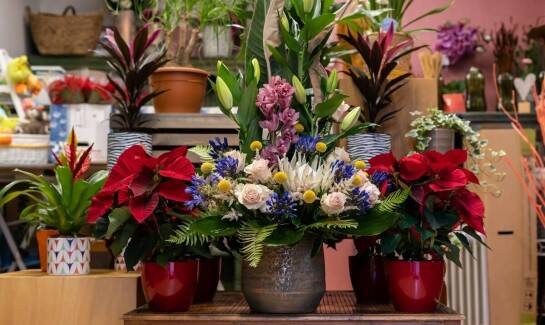 Sztuka tworzenia eleganckich kompozycji z kwiatów ciętych