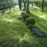 Zalety montażu automatycznych systemów nawadniania w ogrodach