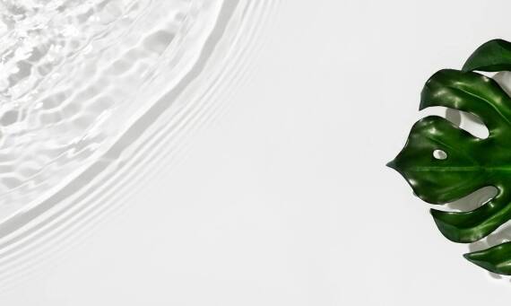 Paddle a ekologia – jakie rozwiązania są przyjazne środowisku?