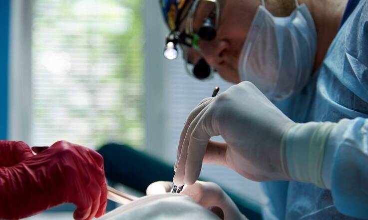 Jakie usługi oferuje stomatolog w Łowiczu dla pacjentów zmagających się z utratą zębów?