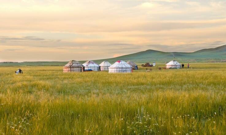 Jurty mongolskie jako miejsce do obserwacji gwiazd i dzikiej natury