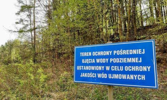 Rola specjalistów w zapewnieniu bezpiecznej wycinki drzew w Warszawie