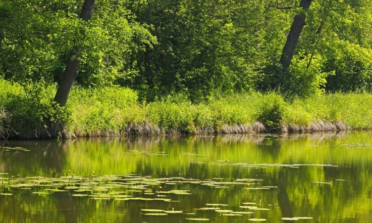 Jakie są konsekwencje braku rzetelnej oceny wodnoprawnej?
