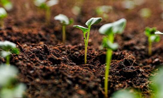 Jak dostosować system nawadniania kropelkowego do różnych typów gleby?