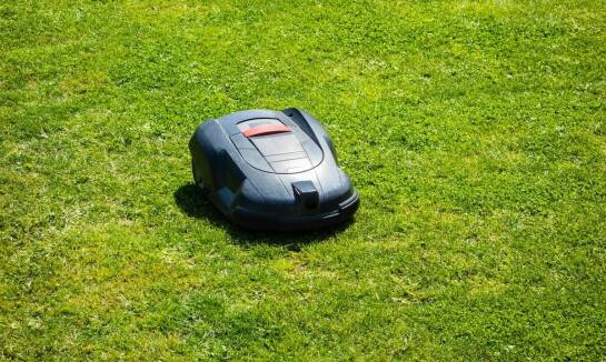 Wybór idealnego robota koszącego dla dużego ogrodu