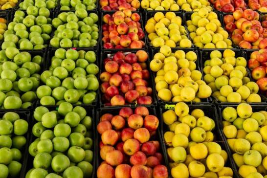 Dlaczego warto inwestować w różnorodność odmian owoców?