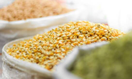 Jakie warunki powinien spełniać idealny sklep z nasionami warzyw?