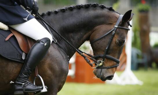Czym kierować się przy wyborze jeździeckiej odzieży konkursowej?