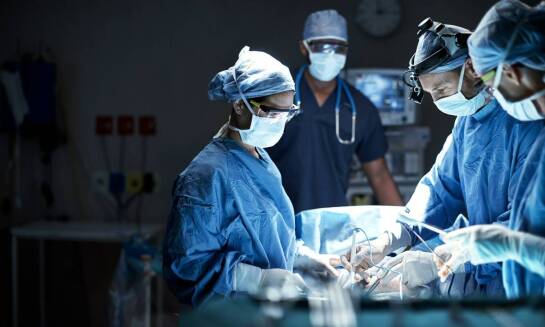 Jak chirurg zwierzęcy przygotowuje się do operacji zwierząt egzotycznych?