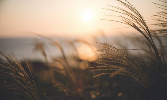 Jakie są zalety wyboru taniego pensjonatu blisko atrakcji turystycznych w Ustroniu Morskim?