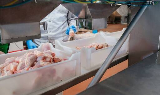 Przestrzeganie norm sanitarnych w pracy w przetwórstwie mięsnym: co musisz wiedzieć?
