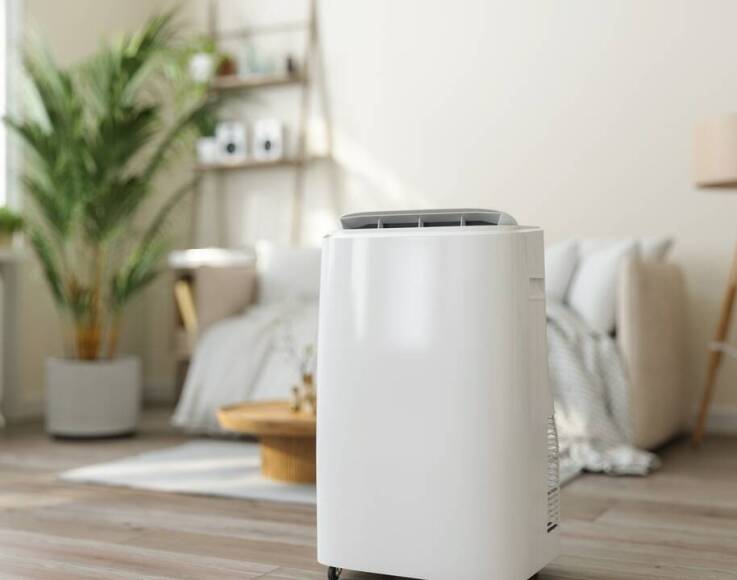 Jak klimatyzator wspiera alergików i osoby z astmą?