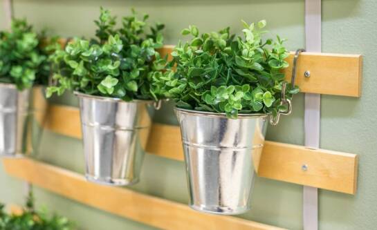 Jak woliera ogrodowa w Michałowicach zapewnia kotom relaks na świeżym powietrzu?