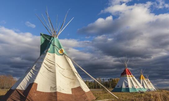 Organizacja festynów tematycznych jako forma edukacji historycznej