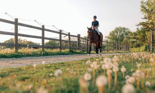Zajęcia edukacyjne dla dzieci w stadninie koni: nauka przez zabawę