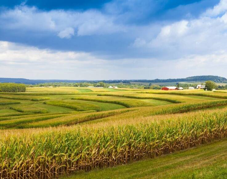 Najczęstsze błędy przy stosowaniu środków chwastobójczych w ogrodzie