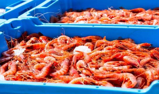 Jak skrzynki drewniane wspierają dystrybucję ryb?