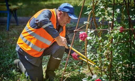 Ekologiczne aspekty metody WUKO w kontekście usuwania zatorów