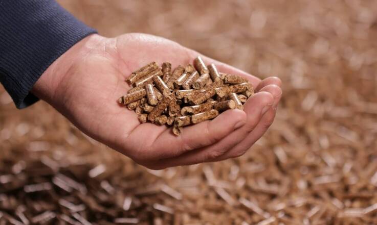 Pellet drzewny w systemach grzewczych – przewodnik dla nowych użytkowników