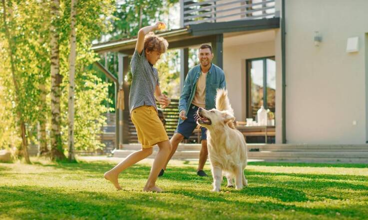 Wpływ kastracji na relacje społeczne psa: co warto wiedzieć?