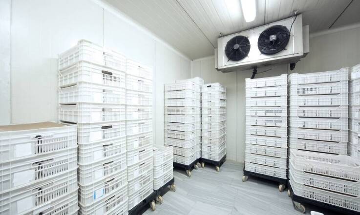 Jak magazynować towary wymagające przechowywania w niskich temperaturach?