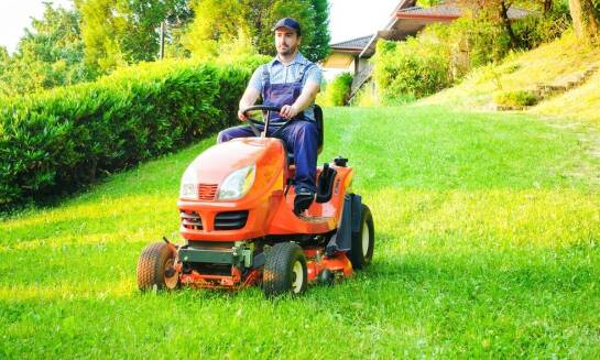 Dlaczego warto zlecić pielęgnację terenów zielonych profesjonalistom?