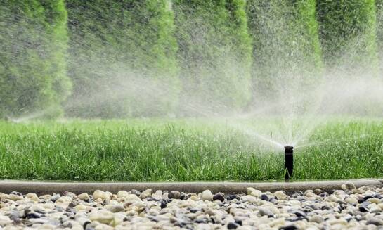 Jakie nowoczesne technologie wspierają oszczędność wody w ogrodzie?