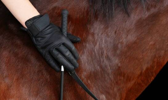 Bat do jazdy konnej – co warto wiedzieć przed zakupem?