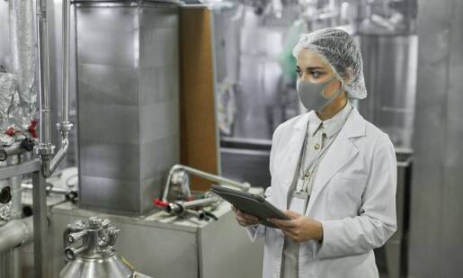 Rola dezynsekcji w utrzymaniu standardów GMP i HACCP w przemyśle spożywczym
