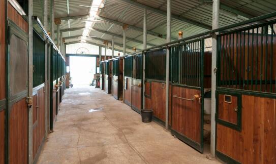 Rozwiązania do zrównoważonego gospodarowania wodą w stajniach