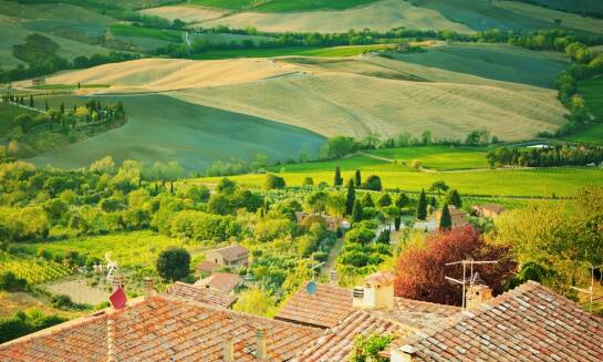 Jak zminimalizować koszty podróży, wybierając tanie linie na loty do Toskanii?