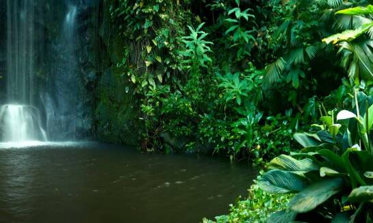 Jakie są najnowsze technologie w zakresie filtracji oczek wodnych?