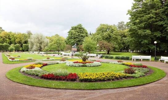 Zrównoważone ogrodnictwo – jak uprawia się drzewka iglaste w Krośnie?