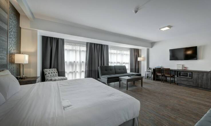 Czym różnią się apartamenty Studio od Suite w ofercie wynajmu?