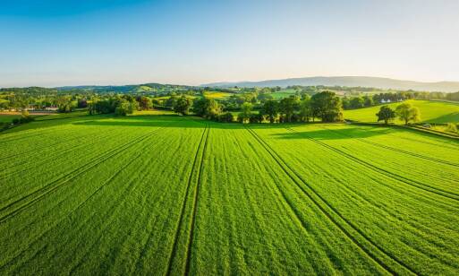 Mieszanka pasz dla drobiu a zrównoważone rolnictwo