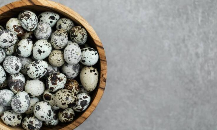 Jaja przepiórcze w diecie - korzyści zdrowotne i wartości odżywcze