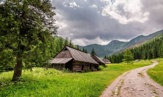 Agroturystyka z końmi: jak przygotować się na pierwszą jazdę konną?
