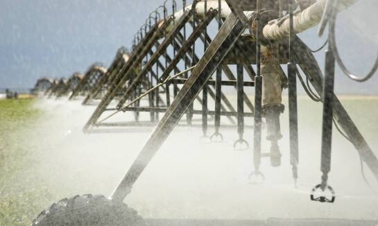 Innowacyjne rozwiązania w konstrukcji linii pojenia dla drobiu