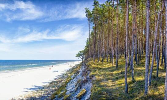 Relaks w domkach nad morzem Mielno z boiskami i placem zabaw