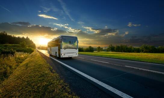 Jakie są różnice między różnymi przewoźnikami autobusowymi na trasie Fiumicino-Rzym?