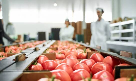 Jak projektowanie linii produkcyjnych może zwiększyć efektywność w sektorze AGRO?