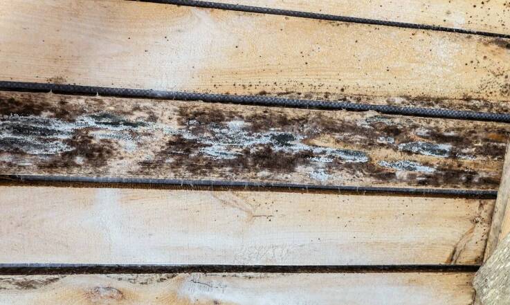 Wpływ Mobilnego Piaskowania na Długowieczność Drewnianych Konstrukcji