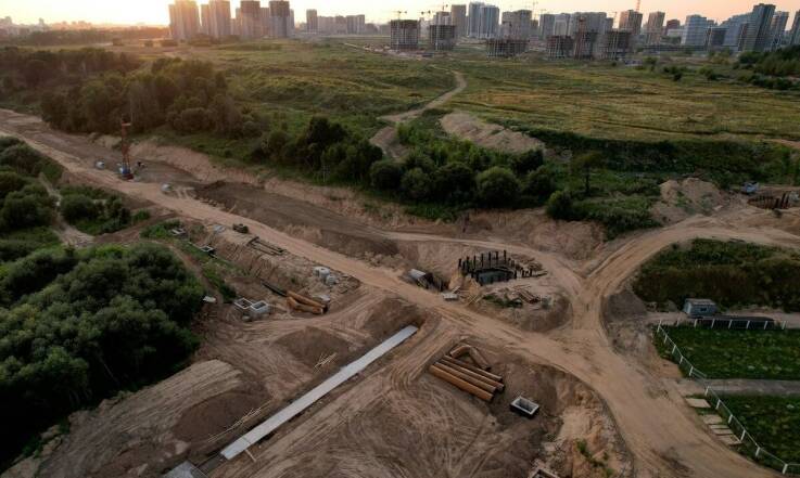 Wycinka drzew a planowanie przestrzeni zielonej - jak to robić skutecznie?