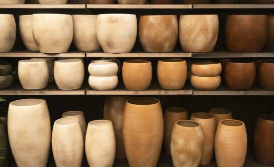 Gdzie kupić papierowe talerzyki?