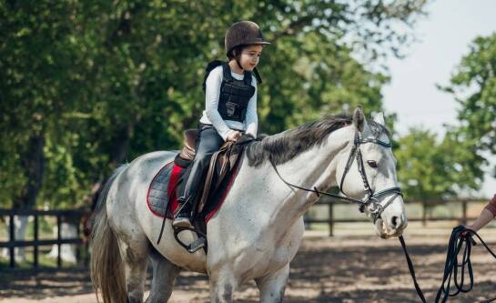 Akademia jeździecka: Dlaczego warto inwestować w profesjonalne szkolenia?