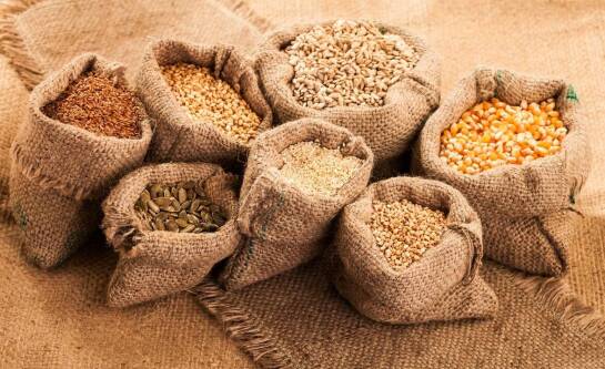 Ile kosztuje gryka do siewu?