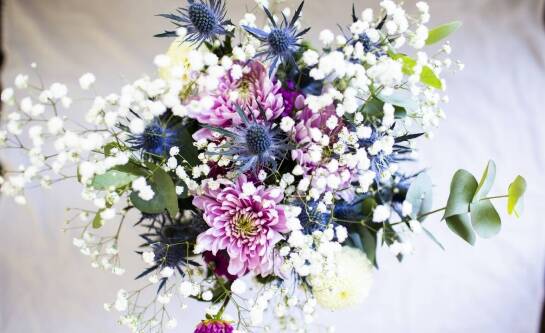 Kwiaty doniczkowe podobne do lilii – przegląd gatunków