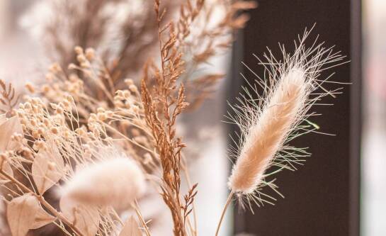 Dlaczego warto inwestować w naturalne szampony dla włosów blond?